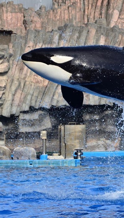 名古屋水族館
