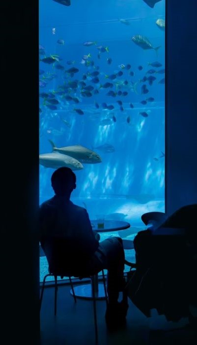 沖繩美麗海水族館
