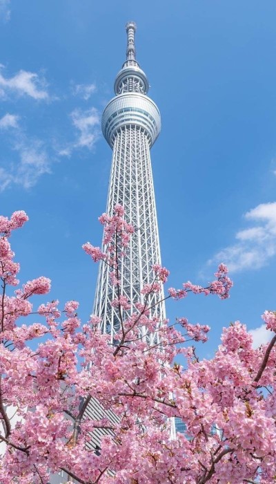 晴空塔
